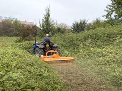 adjustable sideshift flail mower 185cm for 40 70hp tractors shredder mulcher leopard 180 sp