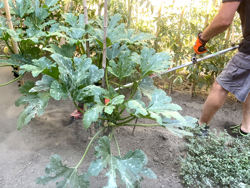 universal cutter for strimmer 4 blades