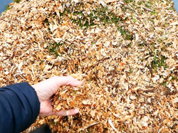 petrol chipper shredder woodchipper with engine dk 800 honda