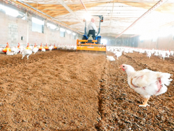 rotovator mélangeur de litière pour tracteur pavo 140