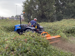 broyeur à marteaux fixe leopard 160 pour prairie ronces et sarments