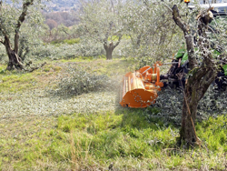 broyeur a marteaux deportable pour tracteur sarments mod gepard 150