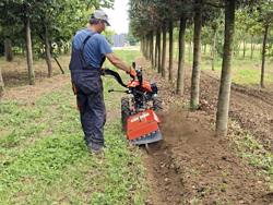 motoculteur reversible moteur loncin essence