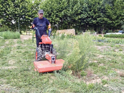 motoculteur reversible moteur loncin essence