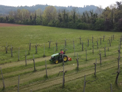 broyeur à marteaux fléaux lynx sp140 déportable pour verger et sarmentsh